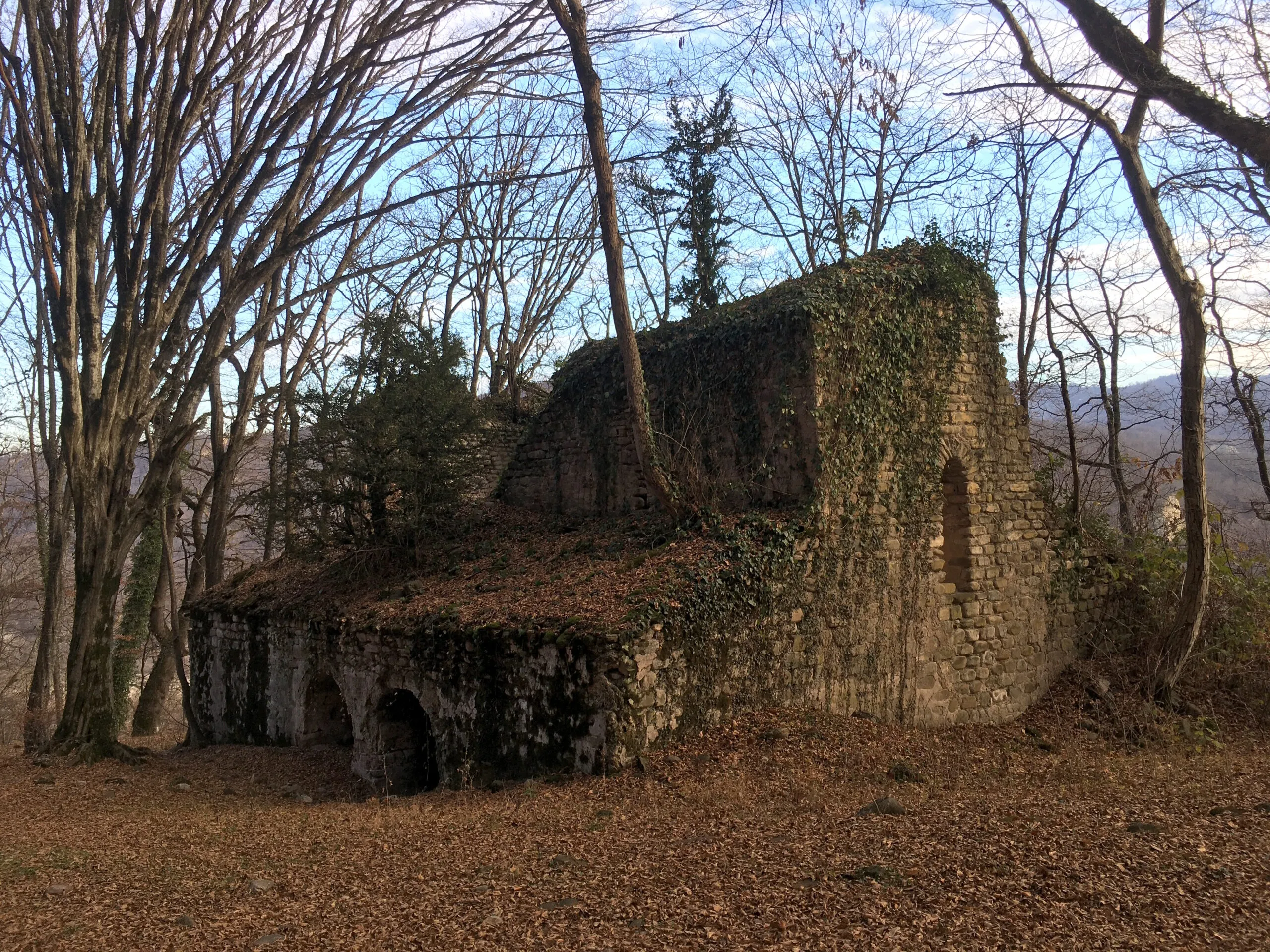 Kakheti Landscape